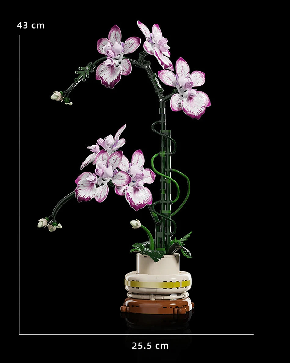 Cymbidium Eternal – Set Construcție Orhidee Phalaenopsis, Design 3D Modular