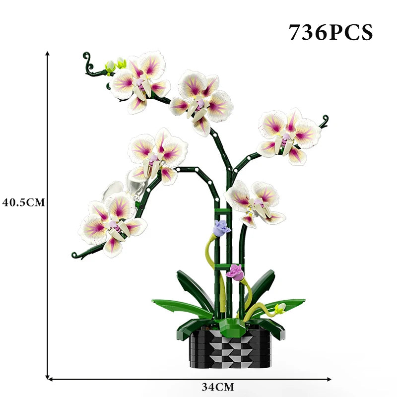 Cymbidium Eternal – Set Construcție Orhidee Phalaenopsis, Design 3D Modular