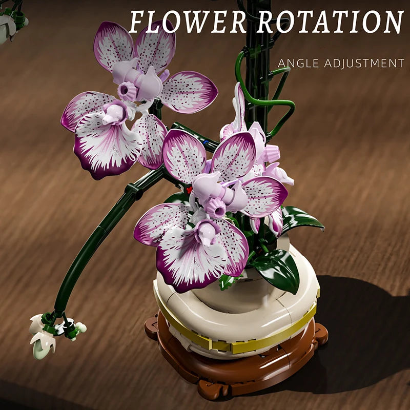 Cymbidium Eternal – Set Construcție Orhidee Phalaenopsis, Design 3D Modular