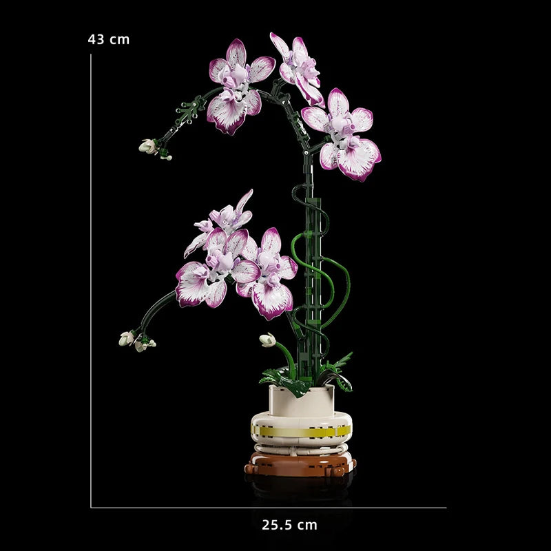Cymbidium Eternal – Set Construcție Orhidee Phalaenopsis, Design 3D Modular